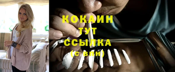 мет Каменка
