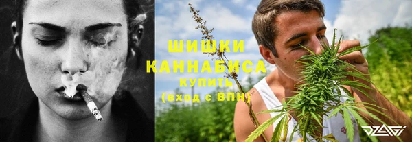 мет Каменка
